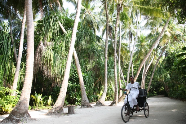 Experience Bicycle Riding 